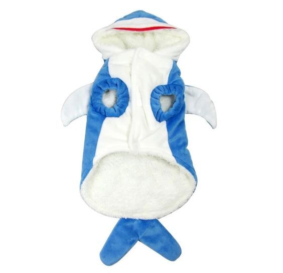 Moose's Shark-Tastic summer suit