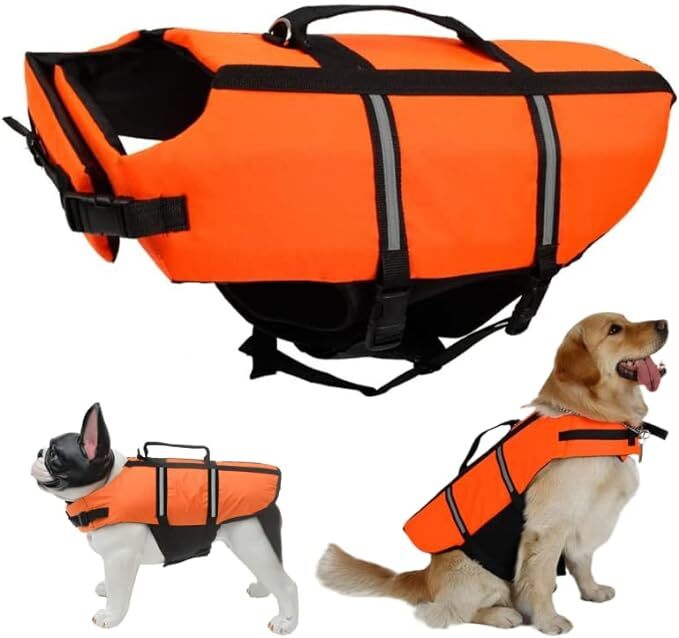 Luna's Float & Fun Lifevest