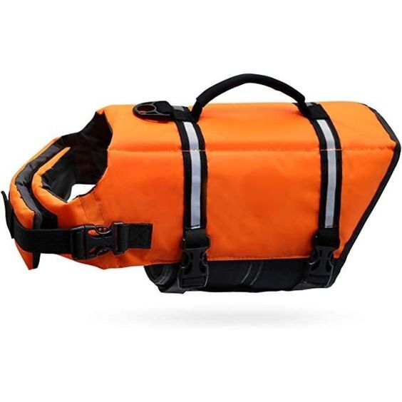 Luna's Float & Fun Lifevest